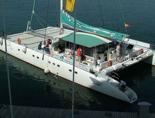 Fiesta en barco en Valencia